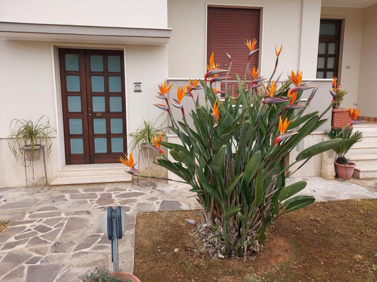 Apartmán Le Strelizie Arnesano Exteriér fotografie